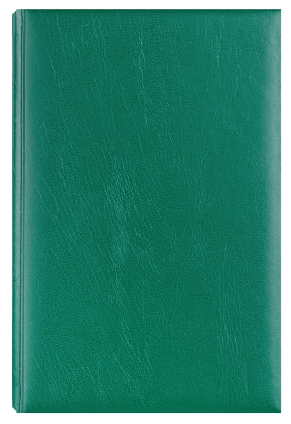 AGENDA A5 ZILNICA VERDE 2026 BASIC EGO – poza 1