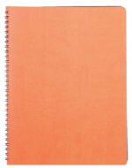 AGENDA CU SPIRA A4 NEDATATA PORTOCALIE SIENA EGO – poza 1