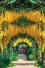 CALENDAR PERETE GRADINI 13 FILE EGO – poza 1