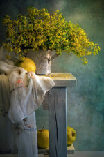 CALENDAR PERETE NATURI STATICE 13 FILE EGO – poza 1