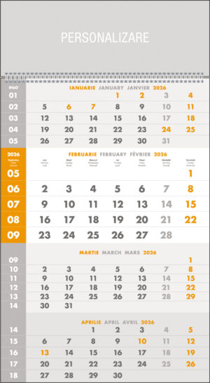 CALENDAR PERETE TRIPTIC GRI 12 FILE EGO – poza 1