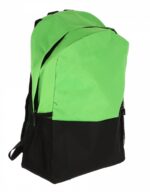 GHIOZDAN CLASELE I-IV VERDE 2 FERMOARE PIGNA – poza 2