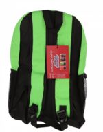 GHIOZDAN CLASELE I-IV VERDE 2 FERMOARE PIGNA – poza 4