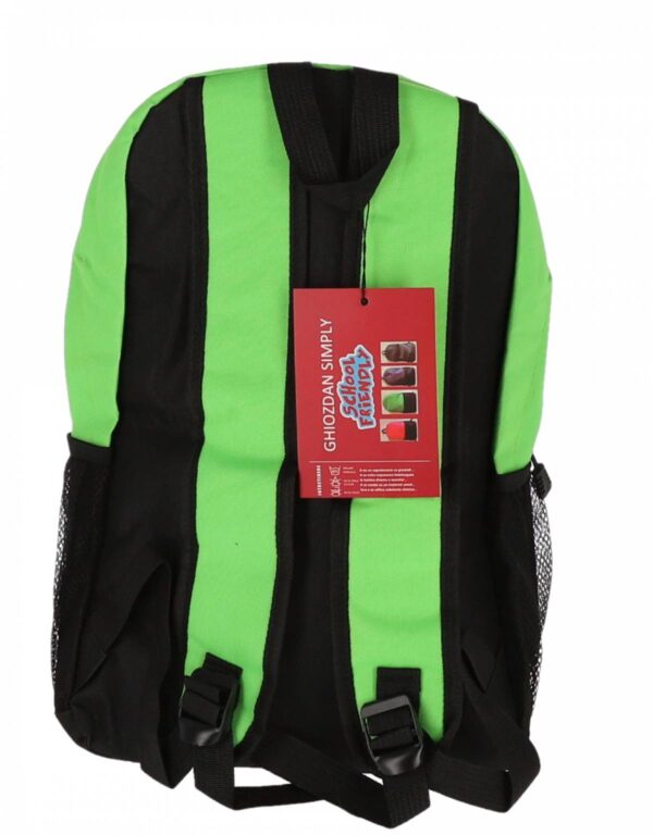 GHIOZDAN CLASELE I-IV VERDE 2 FERMOARE PIGNA – poza 4