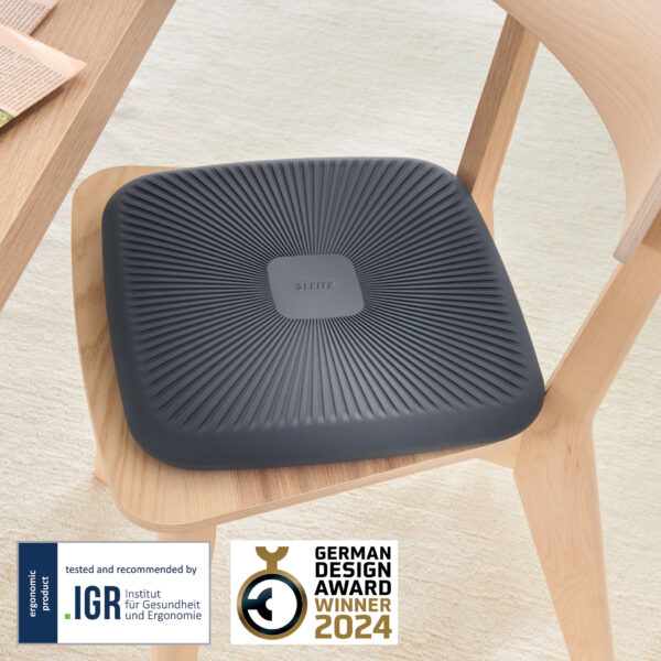 PERNUTA ERGONOMICA SCAUN GRI CARBUNE ERGO LEITZ – poza 2