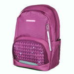 RUCSAC ERGOBASE PURPLE HEARTS ROZ SCHNEIDERS – poza 2