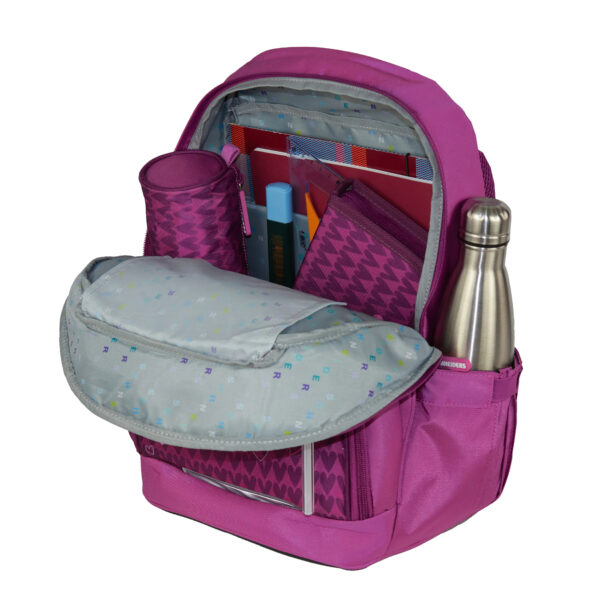 RUCSAC ERGOBASE PURPLE HEARTS ROZ SCHNEIDERS – poza 3