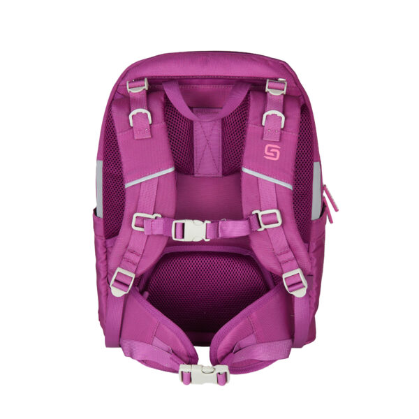 RUCSAC ERGOBASE PURPLE HEARTS ROZ SCHNEIDERS – poza 4