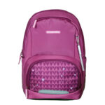 RUCSAC ERGOBASE PURPLE HEARTS ROZ SCHNEIDERS – poza 1